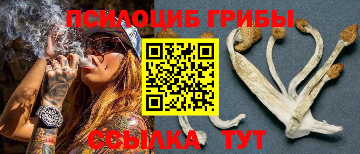Галлюциногенные грибы GOLDEN TEACHER Великий Устюг