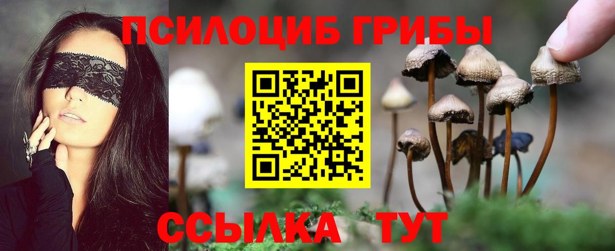 Галлюциногенные грибы мицелий  Вход с VPN  Великий Устюг  Галлюциногенные грибы Psilocybine cubensis 
